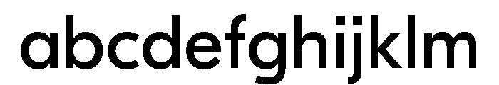 GTEestiDisplayLC Rg FONT