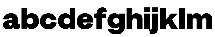 GTEraDisplay Black 2 FONT