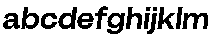 GTEraDisplay BoldOblique FONT