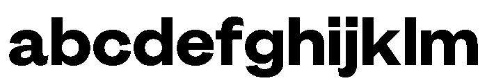 GTEraDisplay Heavy 2 FONT