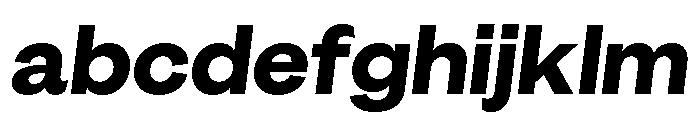 GTEraDisplay HeavyOblique FONT