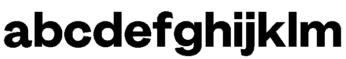GTEraDisplay Heavy FONT