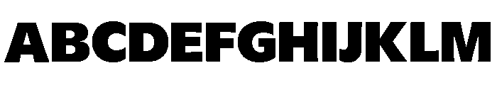 GTFlaireBasic Black 2 Font UPPERCASE