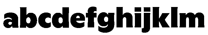 GTFlaireBasic Black 2 FONT