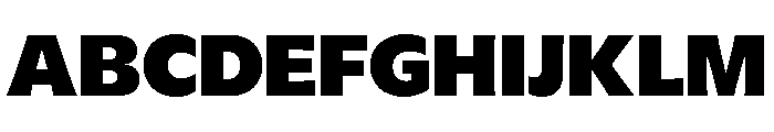 GTFlaireBasic Black Font UPPERCASE