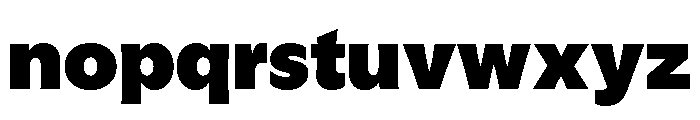 GTFlaireBasic Black Font LOWERCASE
