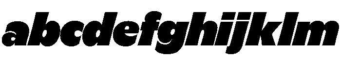GTFlaireBasic ExtraItalic 2 FONT