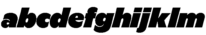GTFlaireBasic ExtraItalic FONT