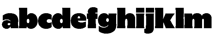 GTFlaireBasic Extra FONT