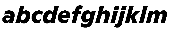 GTFlaireBasic HeavyItalic 2 FONT