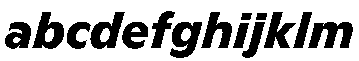 GTFlaireBasic HeavyItalic FONT