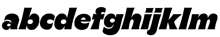 GTFlaireExtra BlackItalic 2 FONT