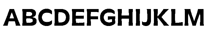 GTFlaireExtra Bold Font UPPERCASE
