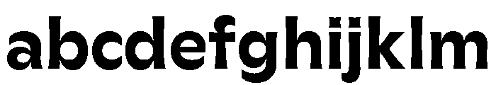 GTFlaireExtra Bold FONT