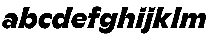 GTFlaireExtra HeavyItalic FONT