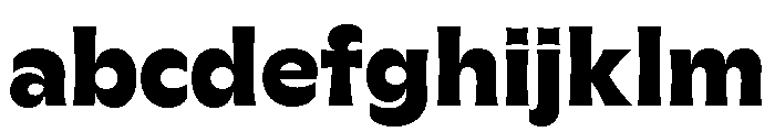 GTFlaireExtra Heavy FONT