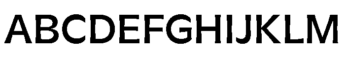 GTFlaireExtra Medium Font UPPERCASE