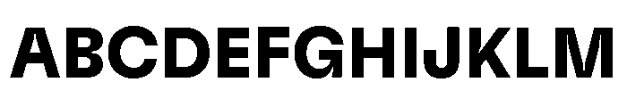 GTFlexa Bd 2 Font UPPERCASE
