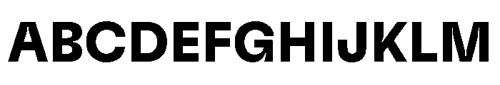 GTFlexa Bd Font UPPERCASE