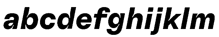GTFlexa BdIt 2 FONT