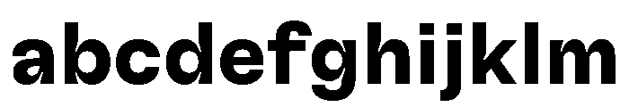 GTFlexa Bd FONT
