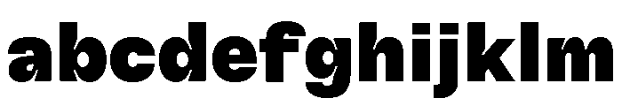 GTFlexa Bl 2 FONT