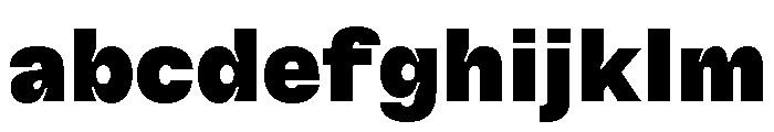 GTFlexa Bl FONT