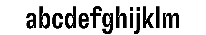 GTFlexa CmMd FONT