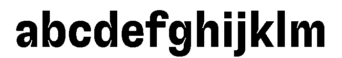 GTFlexa CnBd FONT