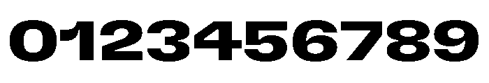 GTFlexa ExpBd Font OTHER CHARS