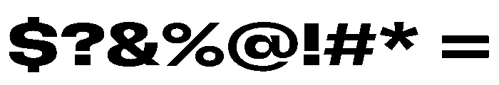 GTFlexa ExpBd Font OTHER CHARS