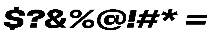 GTFlexa ExpBdIt Font OTHER CHARS