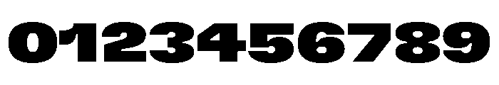 GTFlexa ExpBl Font OTHER CHARS