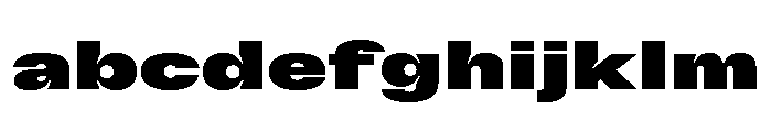 GTFlexa ExpBl FONT
