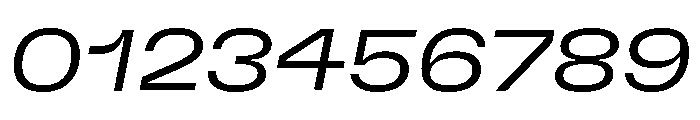 GTFlexa ExpLtIt Font OTHER CHARS