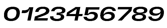 GTFlexa ExpMdIt 2 Font OTHER CHARS