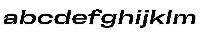 GTFlexa ExpMdIt 2 FONT