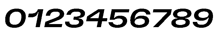 GTFlexa ExpMdIt Font OTHER CHARS