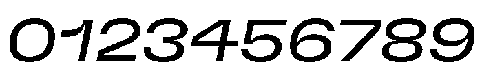 GTFlexa ExpRgIt Font OTHER CHARS