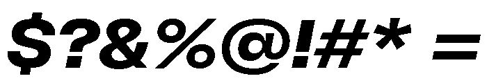 GTFlexa ExtBdIt 2 Font OTHER CHARS