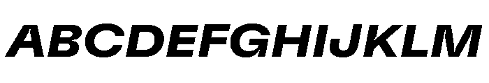 GTFlexa ExtBdIt 2 Font UPPERCASE