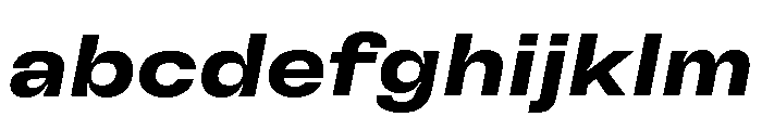 GTFlexa ExtBdIt 2 FONT