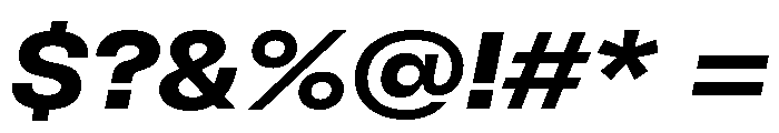 GTFlexa ExtBdIt Font OTHER CHARS