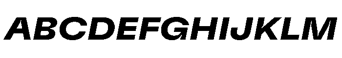 GTFlexa ExtBdIt Font UPPERCASE