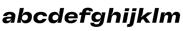 GTFlexa ExtBdIt FONT