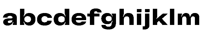 GTFlexa ExtBd FONT