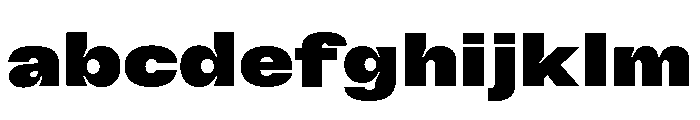 GTFlexa ExtBl 2 FONT