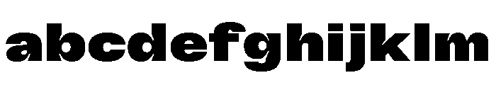 GTFlexa ExtBl FONT