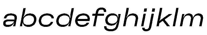 GTFlexa ExtLtIt FONT