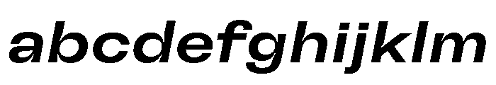 GTFlexa ExtMdIt 2 FONT